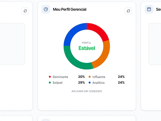 Exemplo de resultado do perfil comportamental na plataforma CODNA Assessment